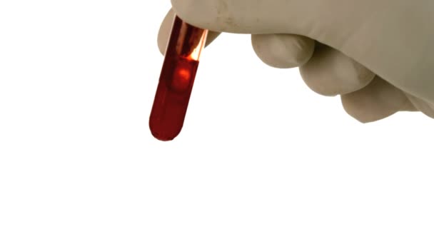 Gloved hand shaking test tube of blood on white background — Stock Video