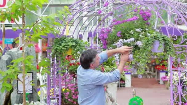 Man står på plantskolan — Stockvideo