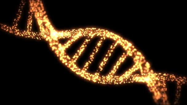 Verschijnen en verdwijnen dna-helix — Stockvideo