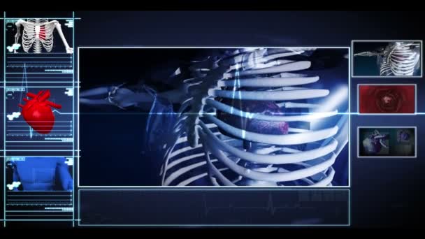 Интерфейс показывает бегущий скелет с качающимся сердцем и внутренним интерьером вены — стоковое видео