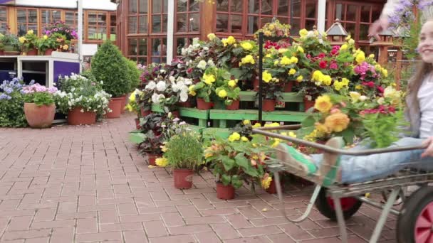 Little girl being pushed in trolley at garden center — Stock Video