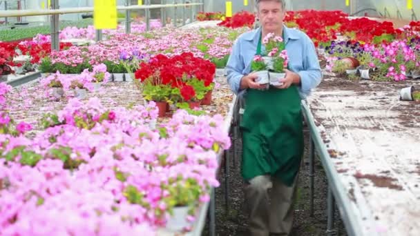 Jardinier portant des plantes — Video