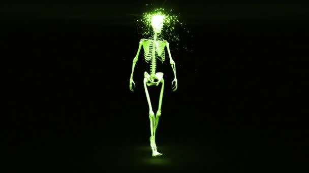 Walking skeleton appears and becomes fully formed human — Stock Video