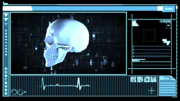 Medical digital interface showing skull — Stock Video