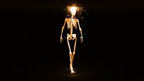 Esqueleto aparece e torna-se totalmente formado humano — Vídeo de Stock