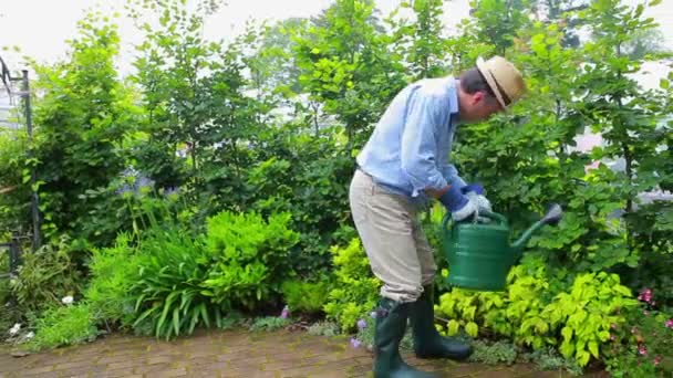 El hombre regando sus plantas — Vídeo de stock