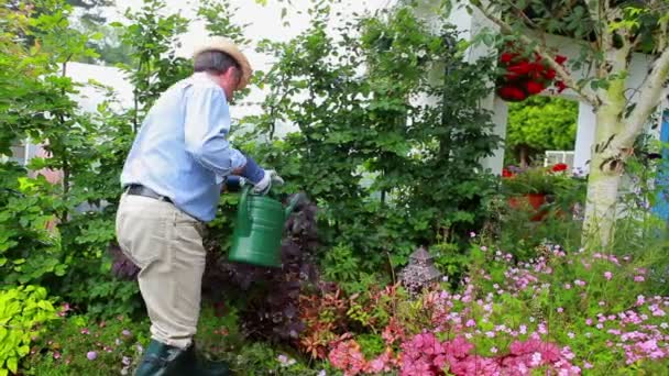 Людина працює в своєму саду — стокове відео