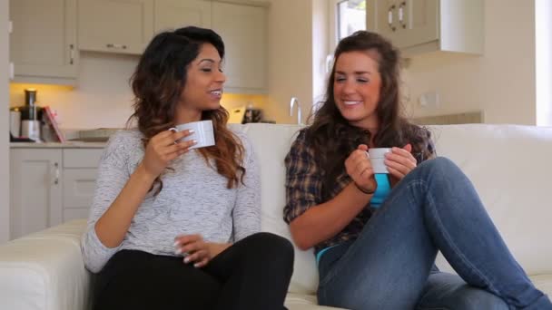 Przyjaciele siedząc na kanapie, picia kawy — Wideo stockowe