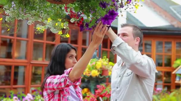 Couple looking at hanging basket — Stock Video