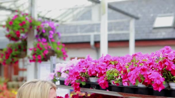 Mujer trabajando en el centro de jardinería en el estante de flores — Vídeo de stock