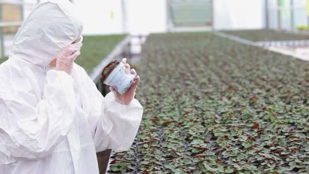 Cientista em pé na estufa segurando uma planta — Vídeo de Stock