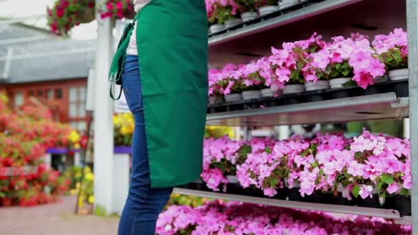 Kvinna som står vid en blomma hylla — Stockvideo