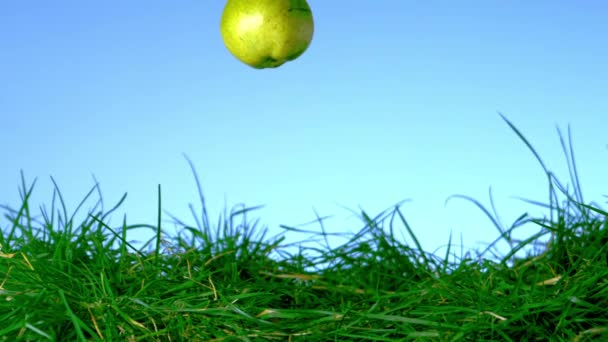 PEAR vallen in het gras op blauwe achtergrond — Stockvideo