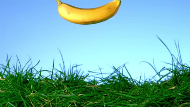 Banana falling and bouncing on grass — Stock Video