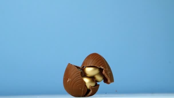 Chocolate easter egg falling against blue background — Stock Video