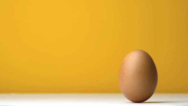 Αυγό περιστρέφονται κίτρινο φόντο — Αρχείο Βίντεο