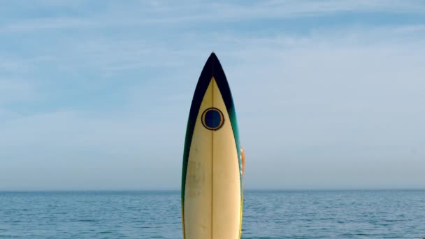 Mujer surfista saltando desde detrás de su tabla — Vídeo de stock