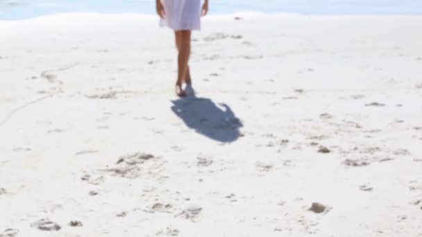 아름 다운 여자는 카메라를 향해 걸어와 미소 — 비디오