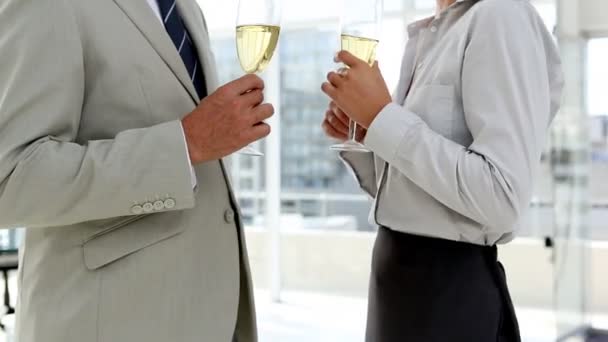 Деловые партнеры празднуют шампанским — стоковое видео
