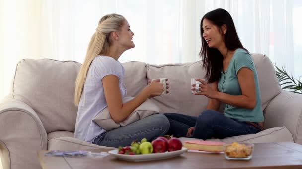 Smiling friends chatting together — Stock Video