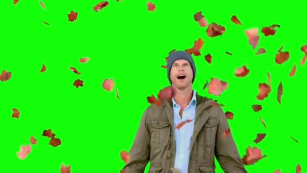Homme étonnant regardant tomber les feuilles sur l'écran vert — Video