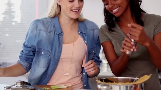 做饭的时候把盐和胡椒放在锅中的女人 — 图库视频影像