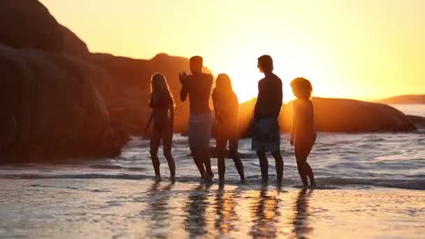 Silhouetten van vrienden plezier op het strand — Stockvideo