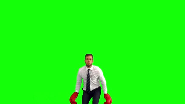 Businessman leaping with boxing gloves and hitting fists together — Stock Video