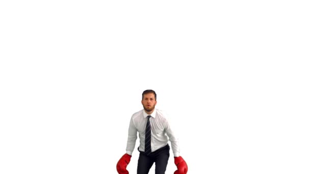 Businessman in boxing gloves jumping and punching his fists together — Stock Video