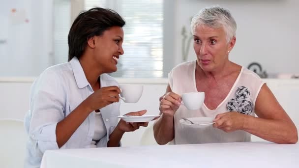 Twee rijpe vrouwen roddelen tijdens afternoontea — Stockvideo