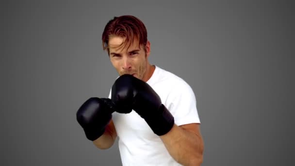 Sportsman boxing in front of the camera on grey background — Stock Video