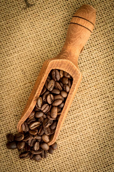 Wooden shovel of coffee beans — Stock Photo, Image