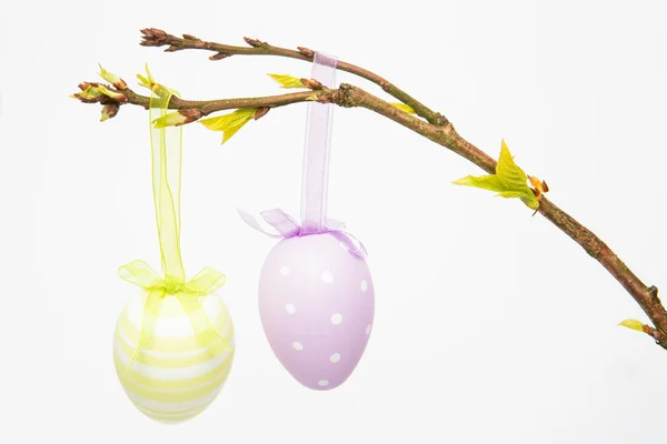 Easter eggs hanging from a branch — Stock Photo, Image