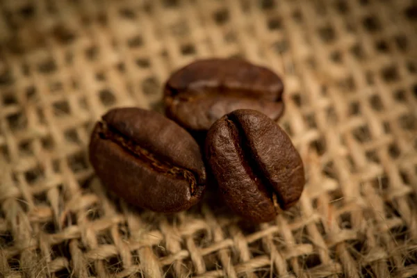 Drie koffiebonen — Stockfoto