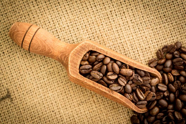 Wooden shovel full of coffee beans — Stock Photo, Image