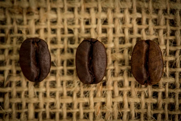 Drie koffie bonen in een rij — Stockfoto