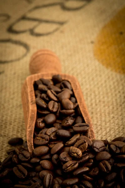 Holzschaufel voller Kaffeebohnen — Stockfoto