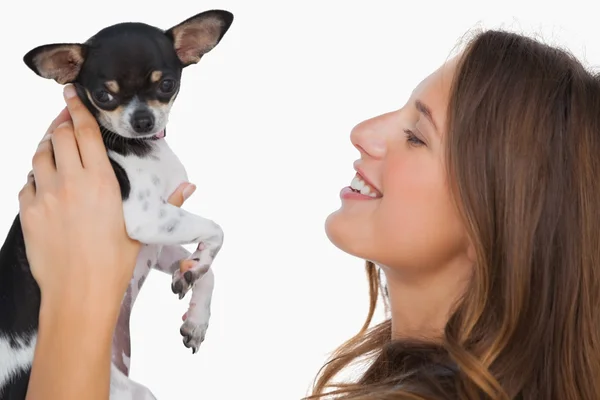 Smiling woman looking at her chihuahua — Stock Photo, Image