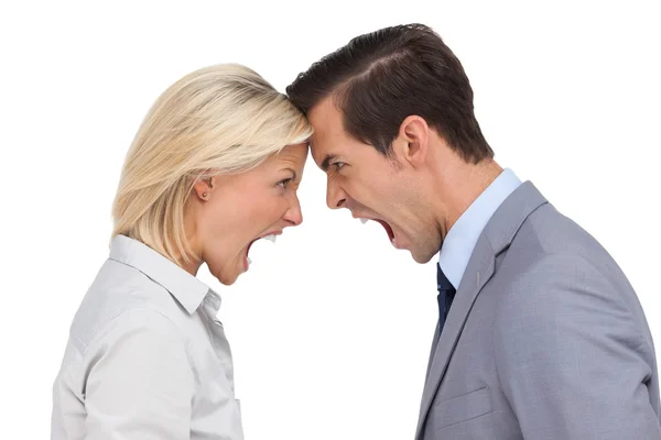 Colleagues quarreling head against head — Stock Photo, Image