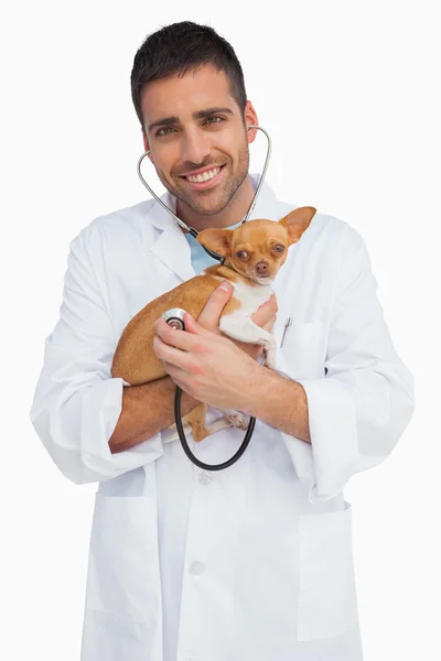 Happy vet checking dog with stethoscope — Stock Photo, Image