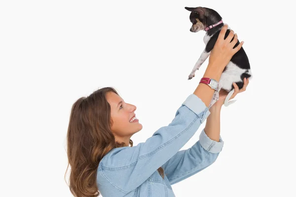 Pretty woman lifting her chihuahua up — ストック写真