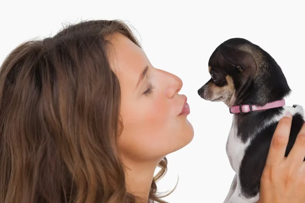 Pretty woman looking at her chihuahua — Stock Photo, Image