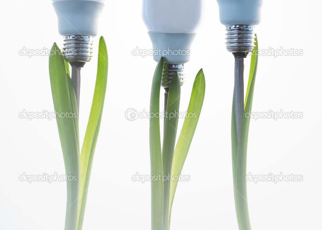 Economic light bulbs growing out of three green plants Stock Photo by