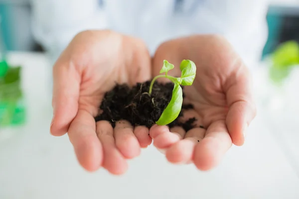 Hombre sosteniendo una pequeña planta —  Fotos de Stock