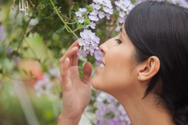 Woman smelling flower — Stock Photo, Image