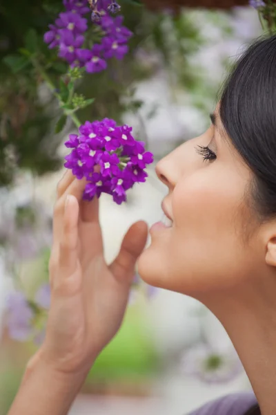 Kvinna lukta lila blomma女人嗅到紫色花 — 图库照片