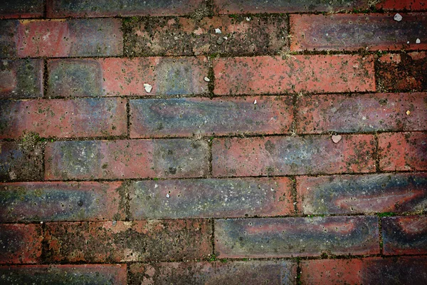 Textura da parede de tijolos — Fotografia de Stock