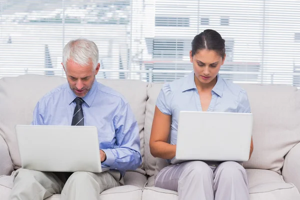 Business sitting on sofa using their laptops — Stock Photo, Image