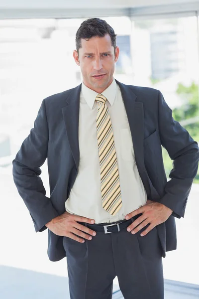 Businessman with hands on hips — Stock Photo, Image