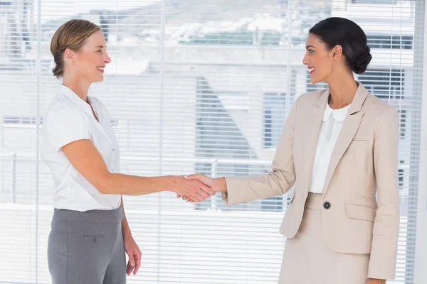 Two partners shaking hands — Stock Photo, Image